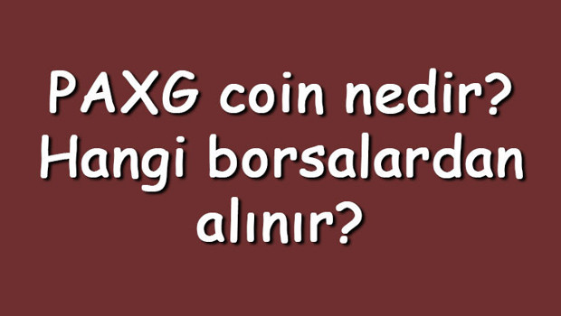 PAXG coin nedir? Hangi borsalardan alınır? PAX Gold ne zaman çıktı? Ne iş yapar?